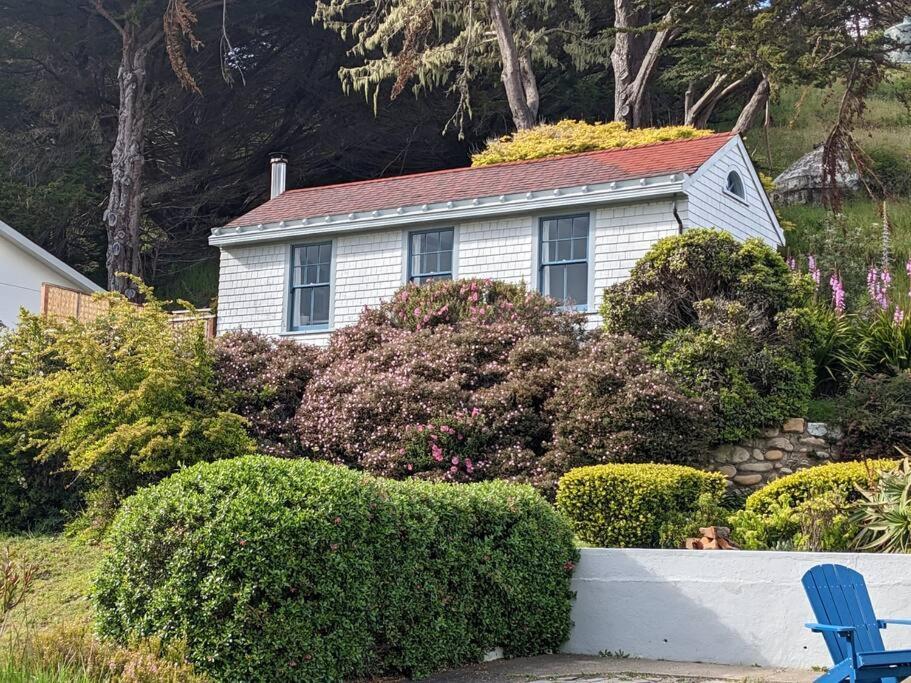 Boathouse Cottage 포인트 아레나 외부 사진